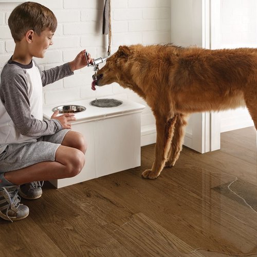 A kid and his dog from Traditional Floors in Milan