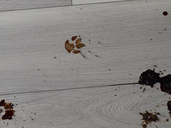 Floorte Vinyl Flooring from Traditional Floors in Milan